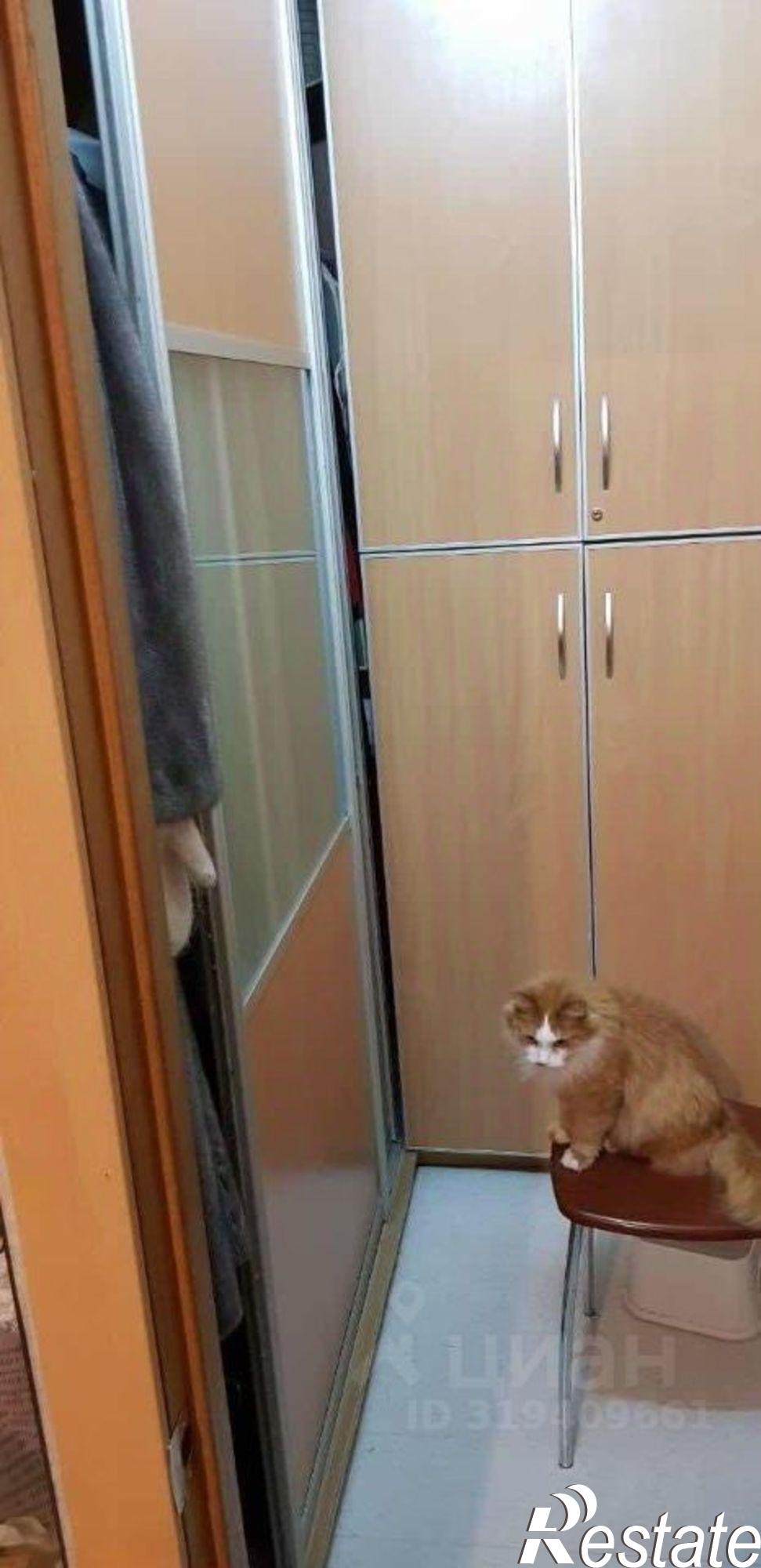 Купить квартиру за 4 800 000 рублей на улица Труда, 5/1