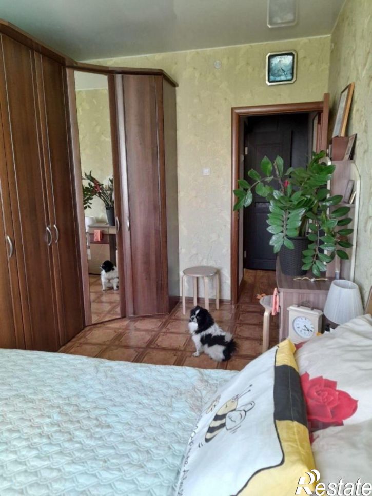 2-комн квартира улица Фёдора Попова, 17/2,  д. 17/2