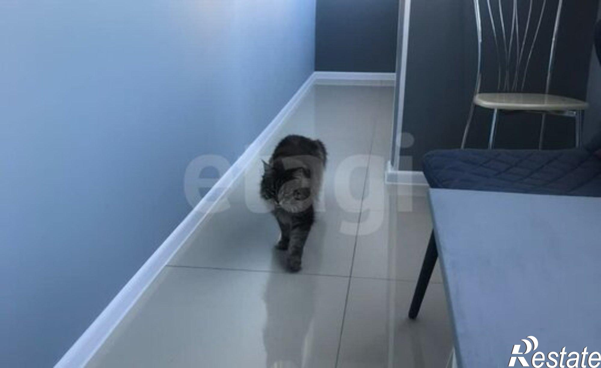 Купить квартиру за 8 900 000 рублей на улица Свердлова, 16/2