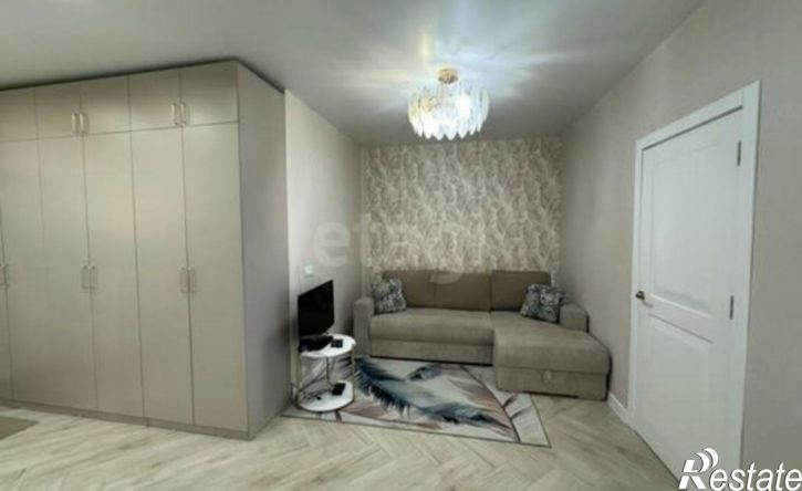 1-комн квартира ул Рыдзинского, 23,  д. 23