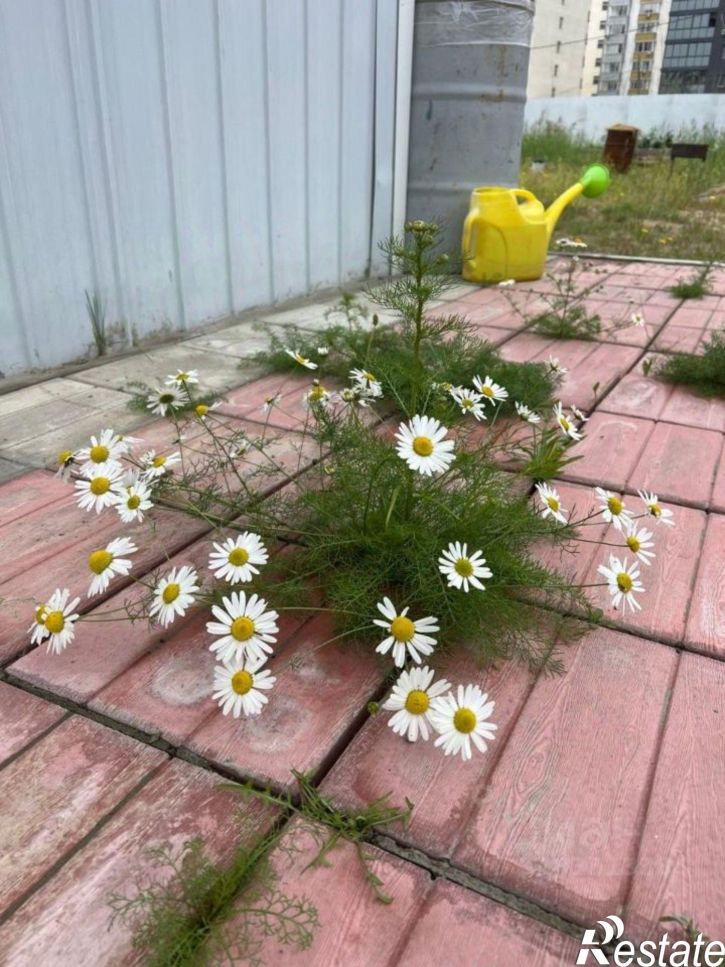 2-комн квартира ул Парковая, 10,  д. 10