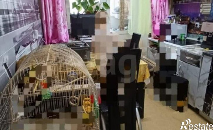 1-комн квартира улица Газовиков, 19Б,  д. 19Б