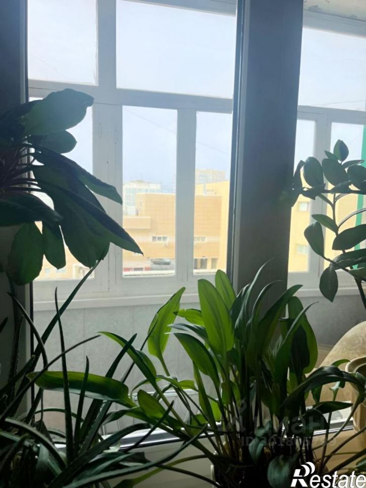 3-комн квартира улица Фёдора Попова, 17/1,  д. 17/1