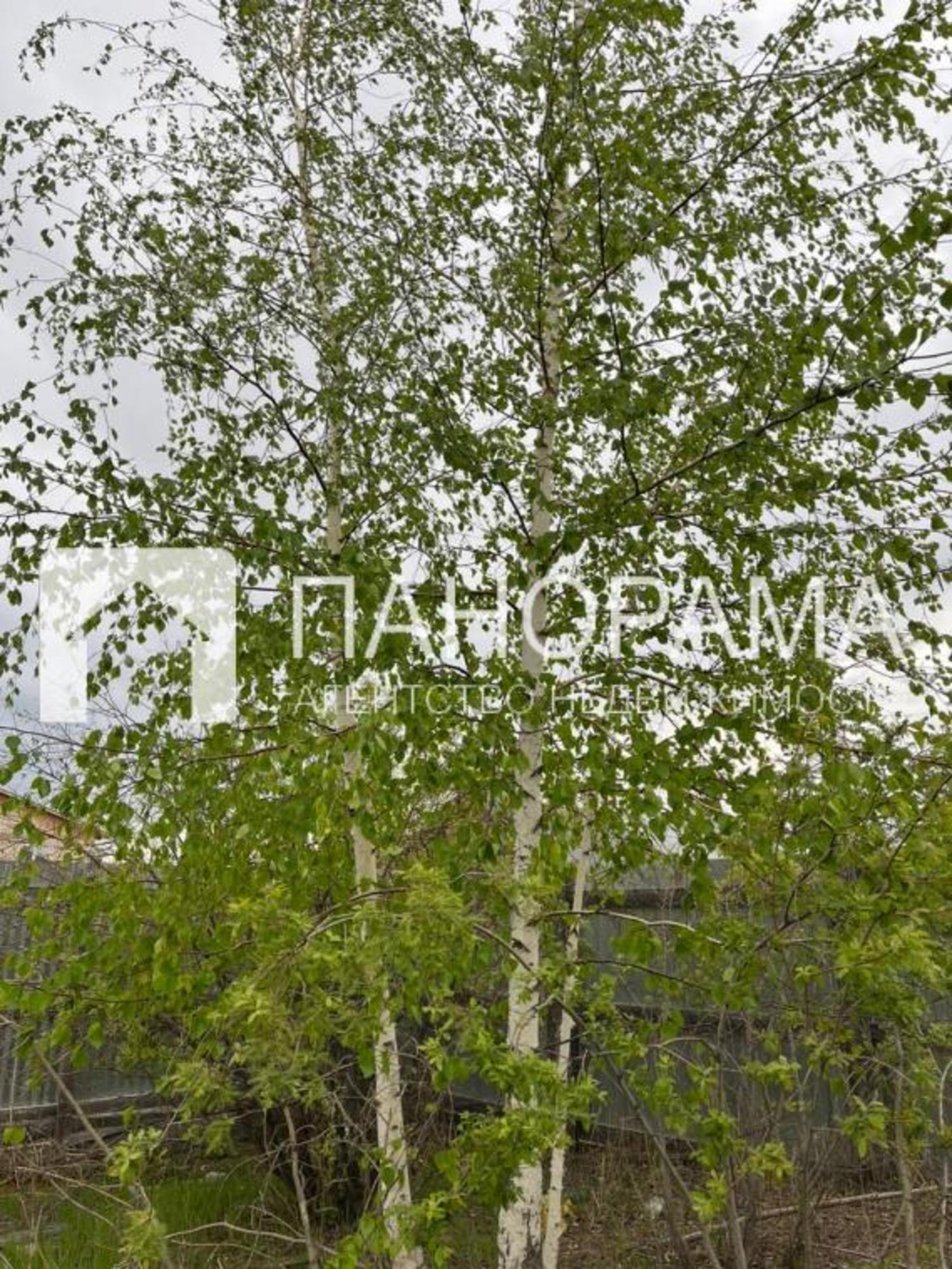 Купить землю, земельный участок за 3 500 000 рублей на 1 База