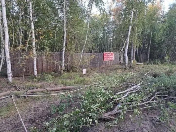 Земельный участок Дачная