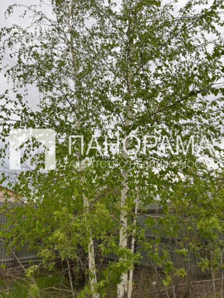 Земельный участок 1 База
