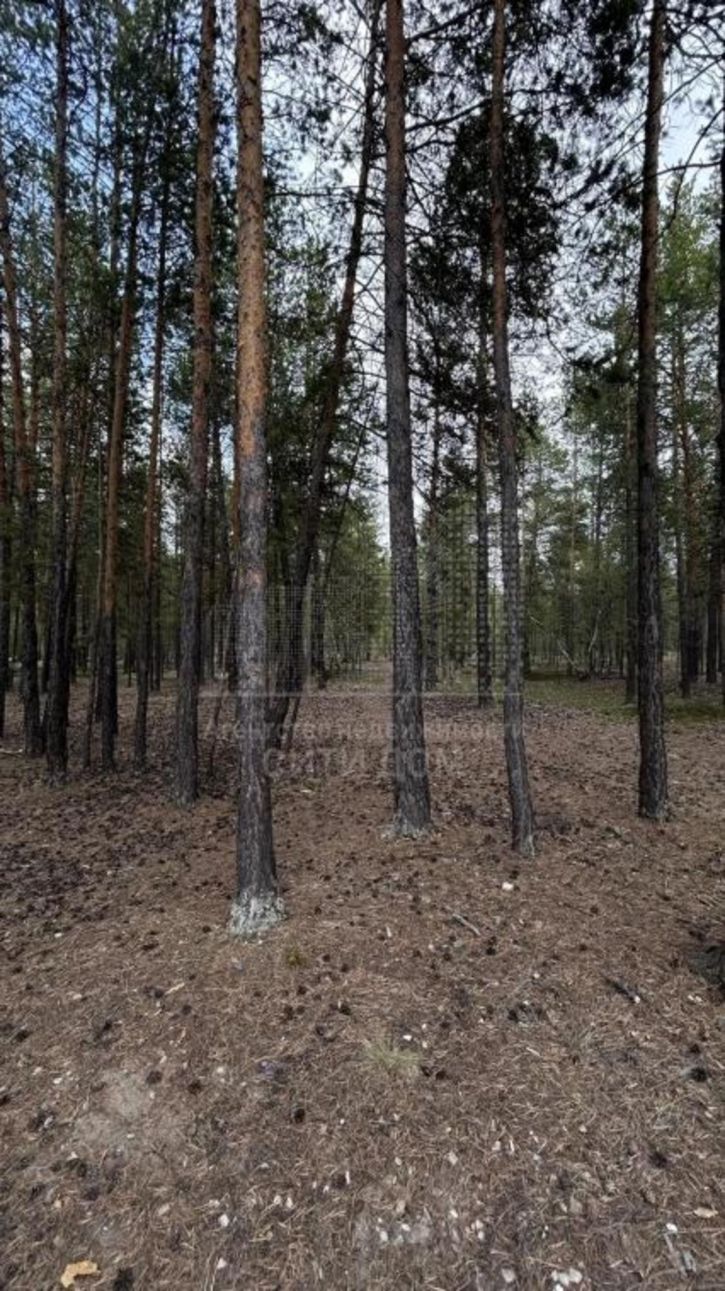 Земельный участок Покровский тракт