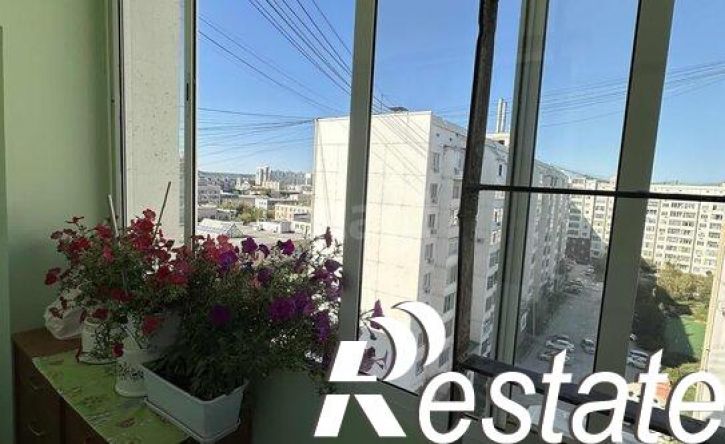 3-комн квартира улица Петровского, 10,  д. 10